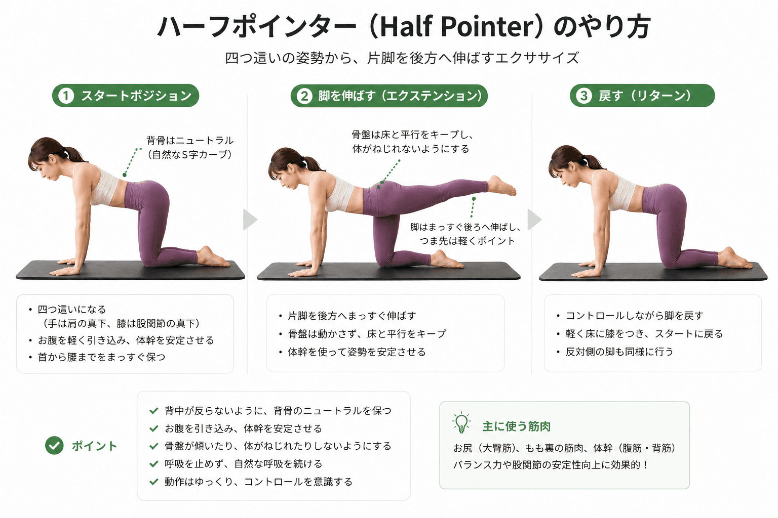 ピラティスの「ハーフポインター」とは？体幹安定とバランス力を高める基礎エクササイズのイメージ