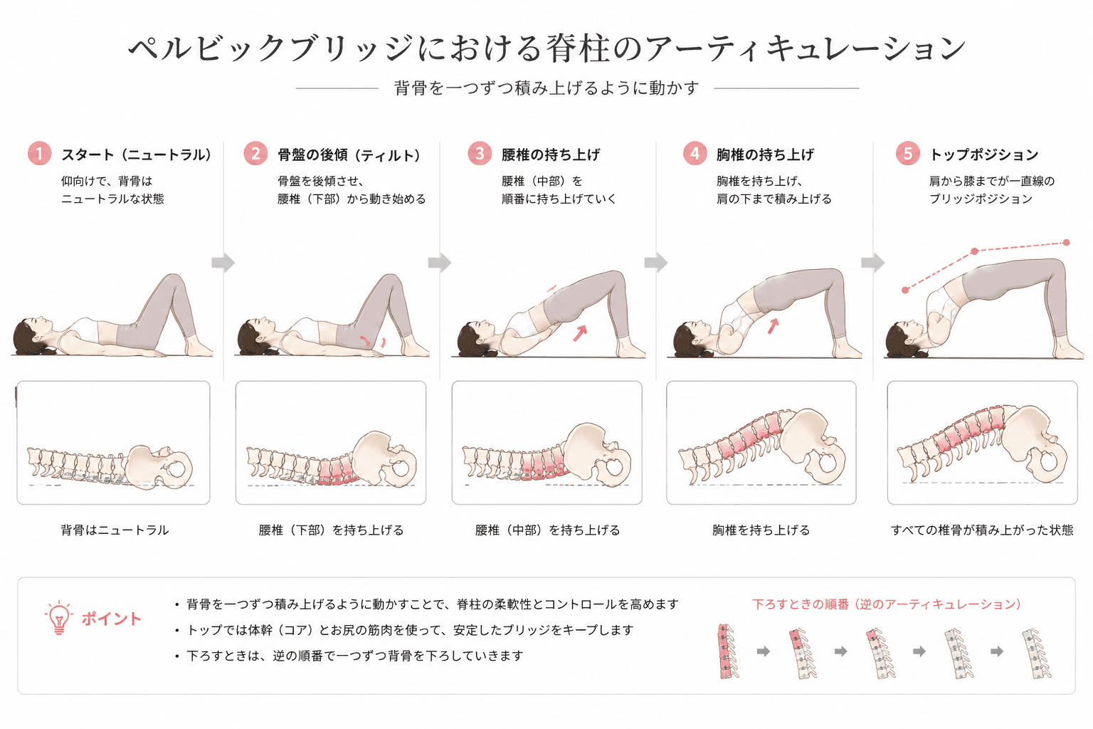 ピラティスの「ペルビック・ブリッジ」とは？骨盤と背骨を整える基本エクササイズのフォームイメージ