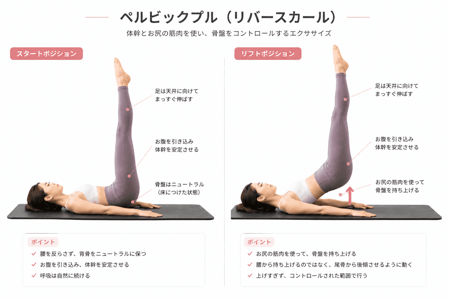 ピラティスの「ペルビック・プルレイズ」とは？体幹安定と下半身コントロールを高める応用エクササイズのイメージ