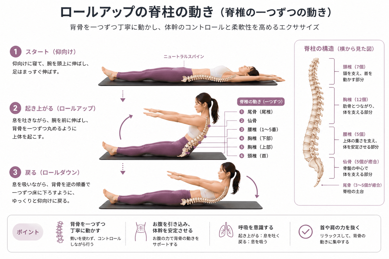 ピラティスの「ロールアップダウン」とは？背骨のコントロールと体幹強化を同時に高めるエクササイズのフォームイメージ