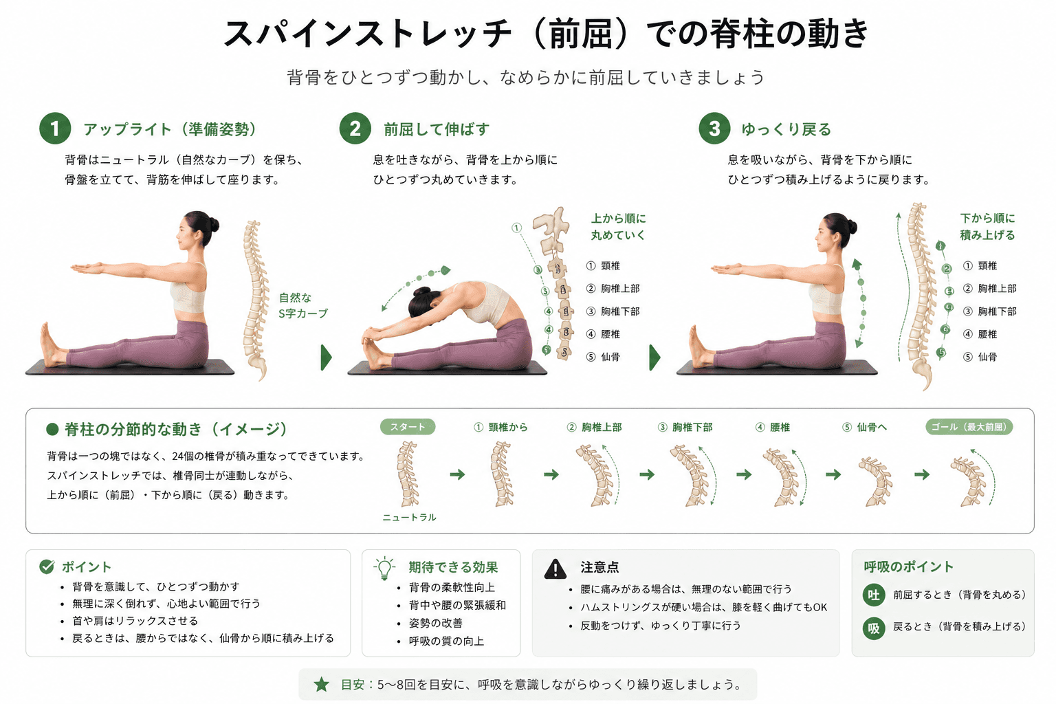 ピラティスの「スパイン・ストレッチ」とは？背骨の柔軟性と姿勢改善を高める基本エクササイズのフォームイメージ