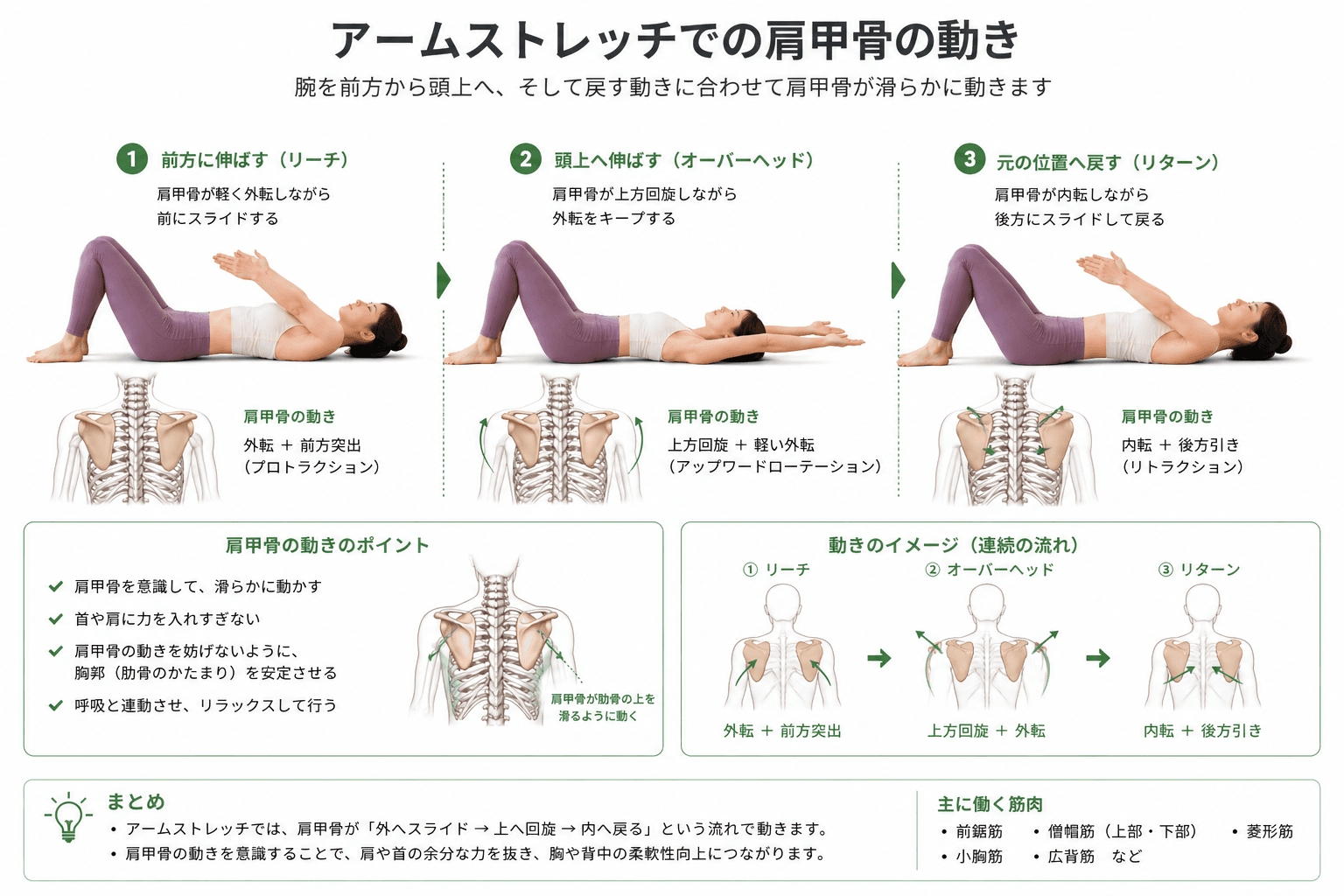 ピラティスの「アームストレッチ」とは?肩まわりの可動性と姿勢を整える基礎エクササイズのフォームイメージ
