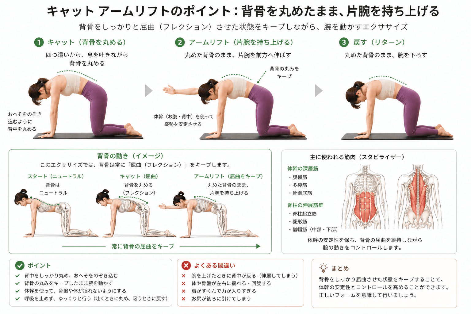 ピラティスの「キャットアームリフト」とは?背骨のコントロールと肩の可動性を高めるエクササイズのフォームイメージ